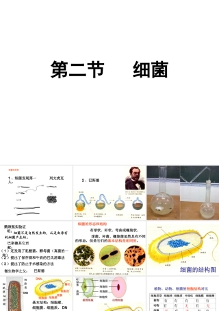 2014年东莞市虎门第五中学八年级生物上册 第二批教学能手评选 5.4.2 细菌课件 （新版）新人教版