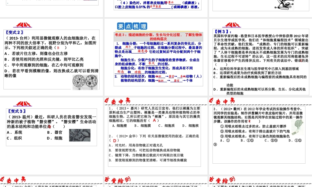 2014年科学中考第一轮复习 第三部分 生命科学 第43课 细胞课件