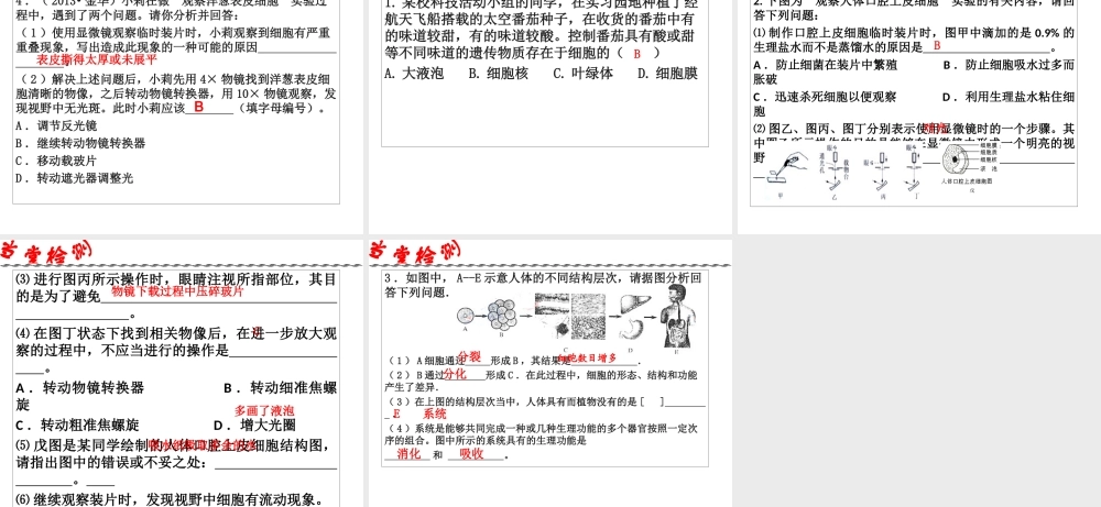 2014年科学中考第一轮复习 第三部分 生命科学 第43课 细胞课件
