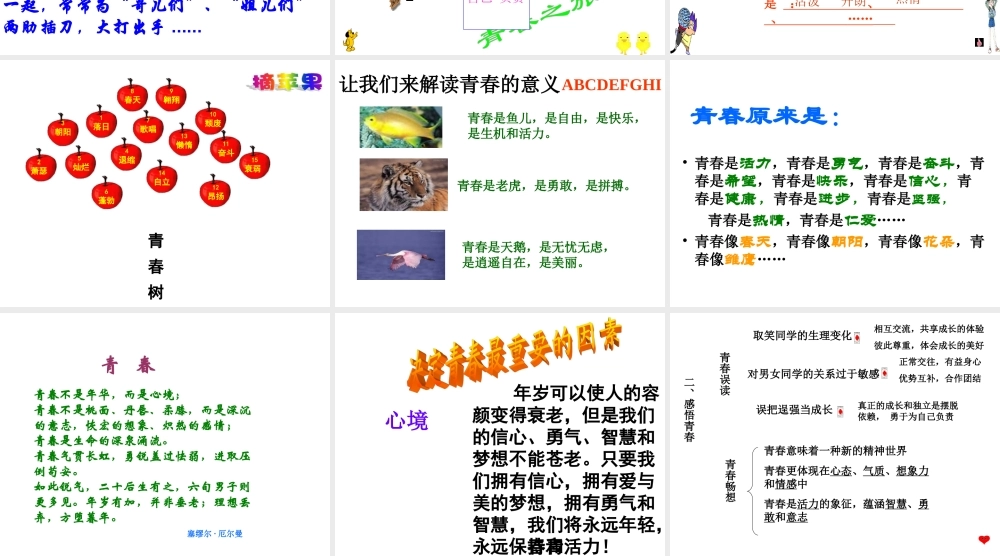 2014年秋七年级政治上册 第二单元 第四课 第二框 感悟青春课件1 新人教版