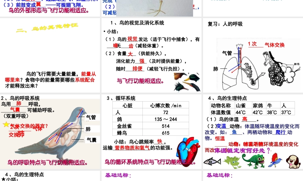 2014年东莞市黄江中学八年级生物上册 第二批教学能手评选 5.1.6 鸟——鸟的主要特征课件 （新版）新人教版