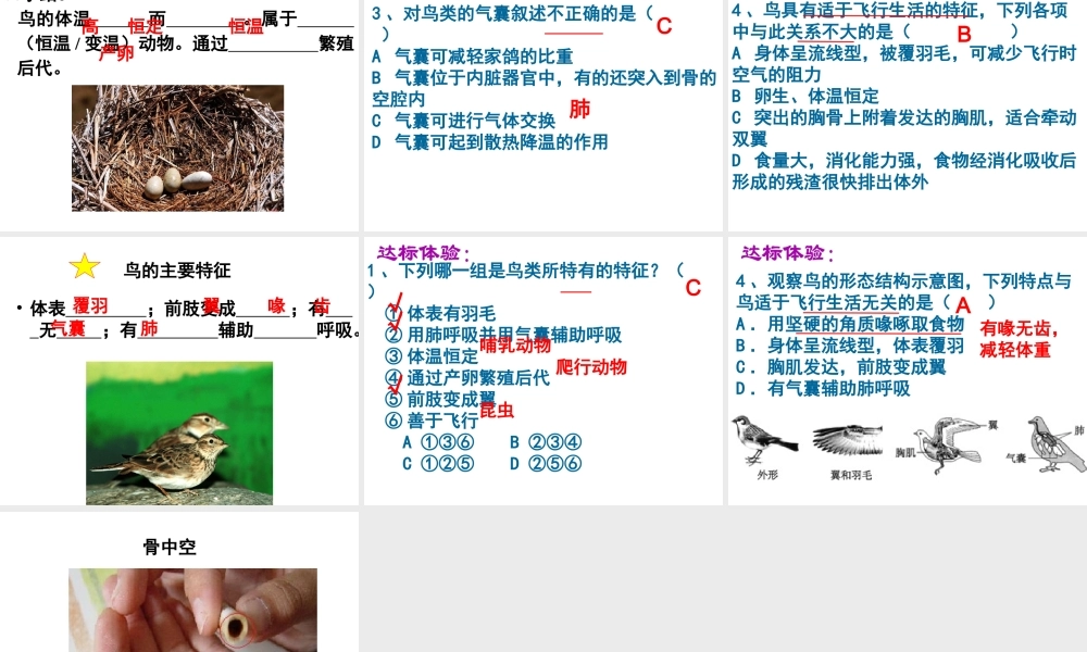 2014年东莞市黄江中学八年级生物上册 第二批教学能手评选 5.1.6 鸟——鸟的主要特征课件 （新版）新人教版
