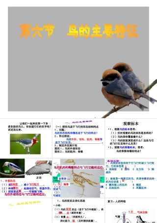 2014年东莞市黄江中学八年级生物上册 第二批教学能手评选 5.1.6 鸟——鸟的主要特征课件 （新版）新人教版