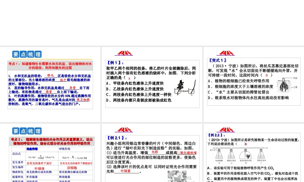 2014年科学中考第一轮复习 第三部分 生命科学 第46课 绿色植物的新陈代谢课件