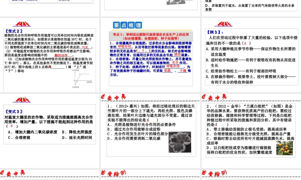 2014年科学中考第一轮复习 第三部分 生命科学 第46课 绿色植物的新陈代谢课件