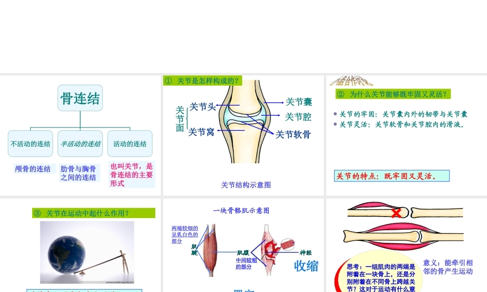 2014年七年级生物上册 第四节 动物的行为课件 济南版