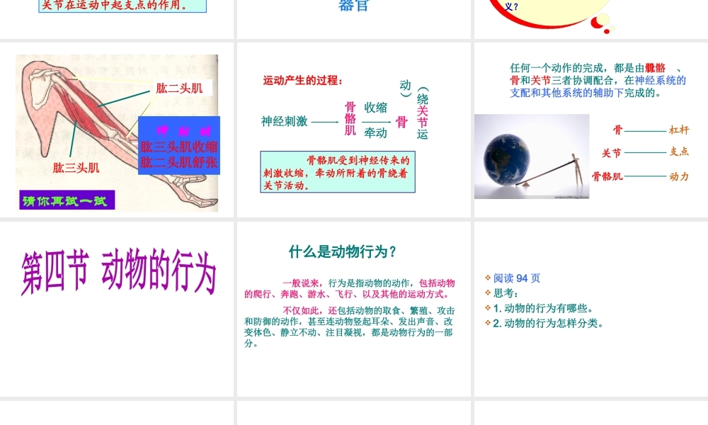 2014年七年级生物上册 第四节 动物的行为课件 济南版