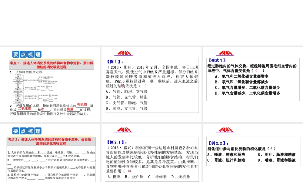 2014年科学中考第一轮复习 第三部分 生命科学 第47课 人体及其他生物的新陈代谢（一）课件