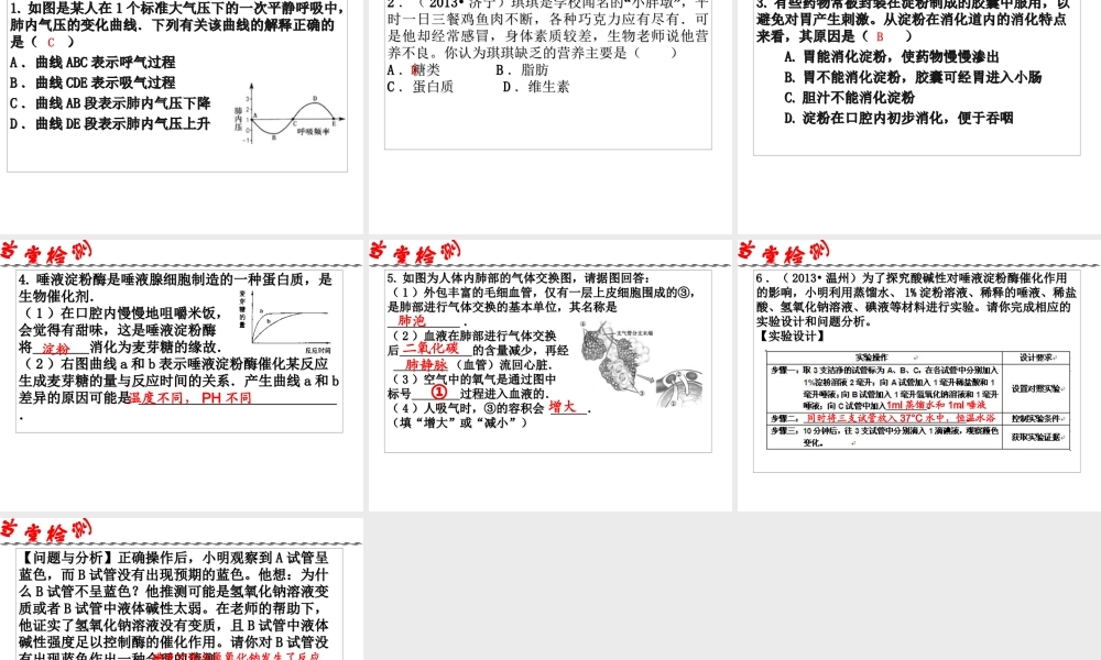 2014年科学中考第一轮复习 第三部分 生命科学 第47课 人体及其他生物的新陈代谢（一）课件