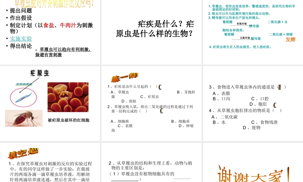 2014年七年级生物下册 第二章 第四节 单细胞生物课件