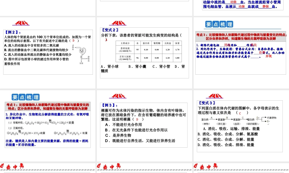 2014年科学中考第一轮复习 第三部分 生命科学 第48课 人体及其他生物的新陈代谢（二）课件