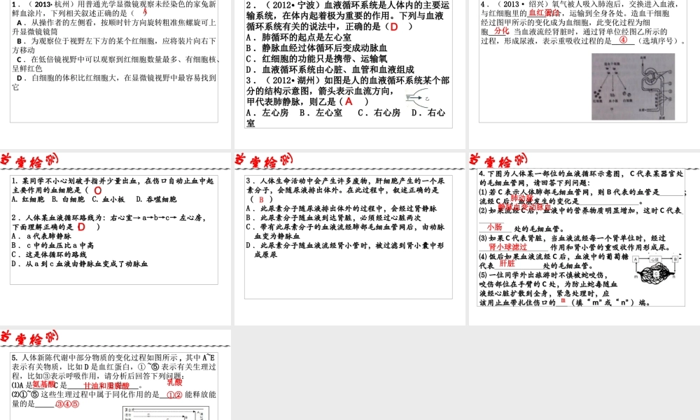 2014年科学中考第一轮复习 第三部分 生命科学 第48课 人体及其他生物的新陈代谢（二）课件
