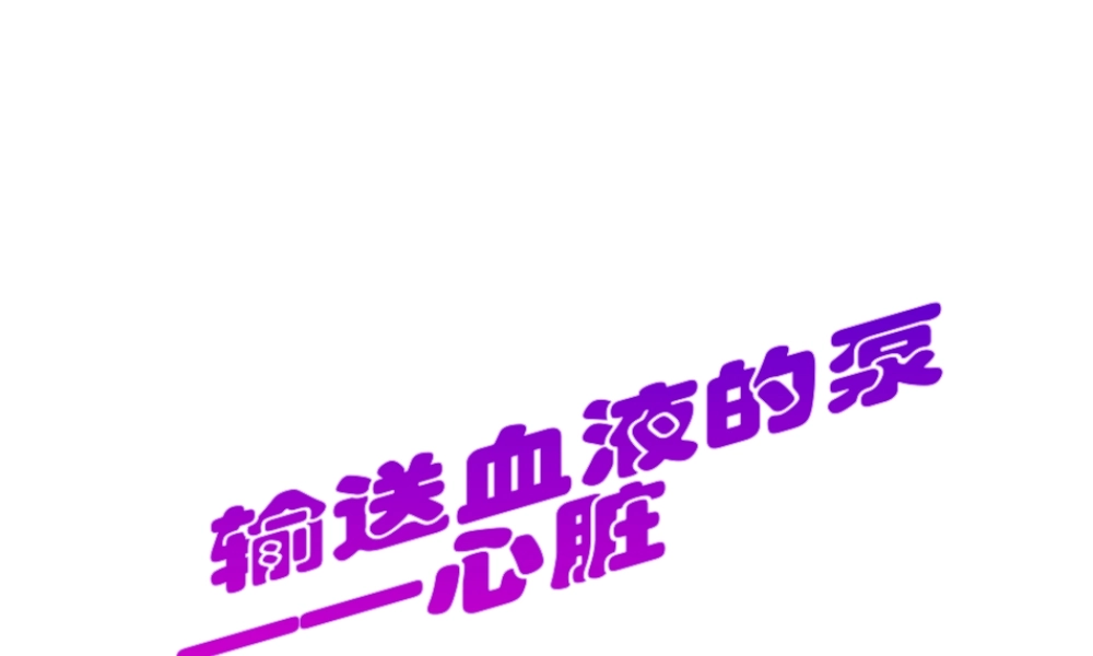 2014年七年级生物下册 第四章 第三节 输送血液的泵——心脏课件 新人教版