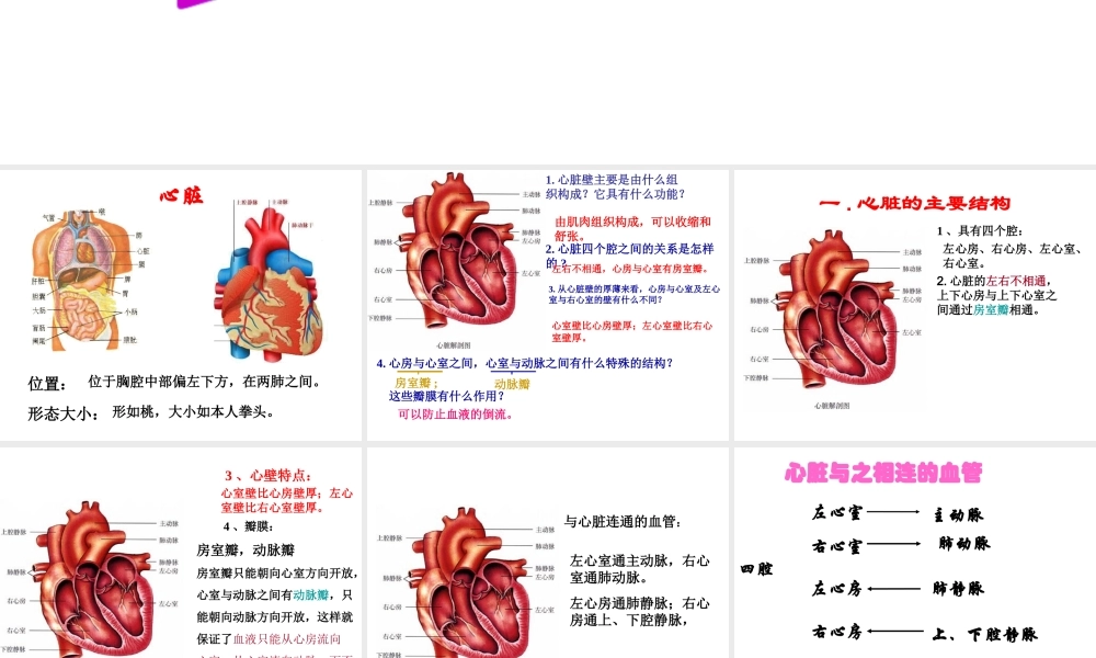 2014年七年级生物下册 第四章 第三节 输送血液的泵——心脏课件 新人教版