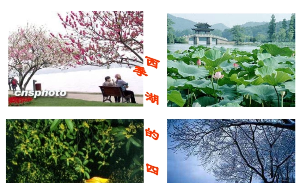 2014七年级科学上册 1.4 科学测量 温度的测量课件 浙教版