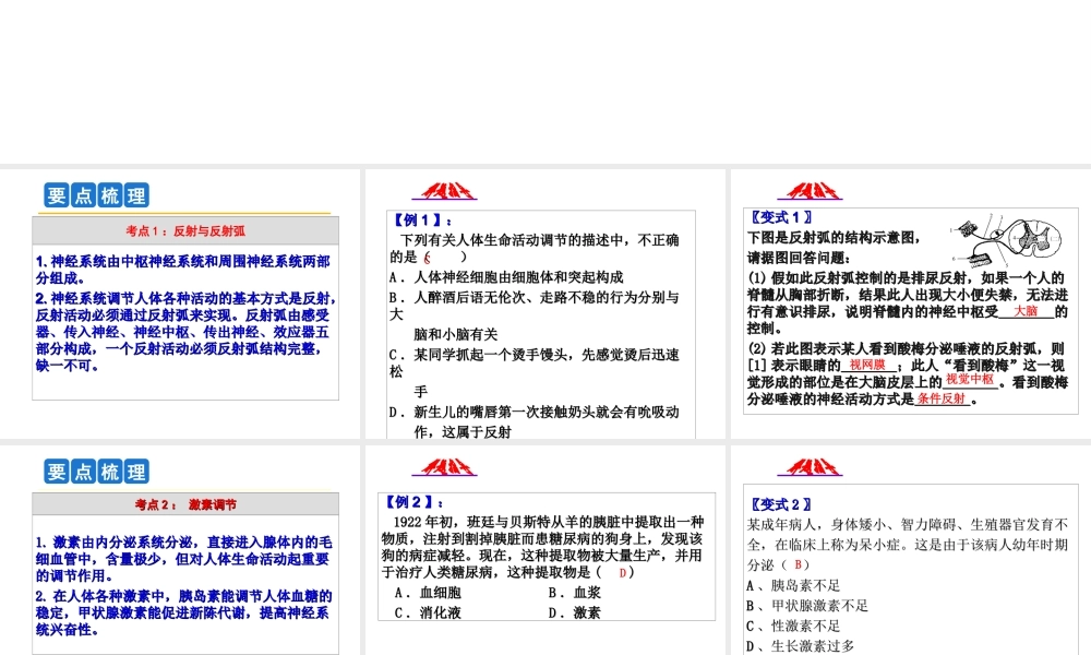 2014年科学中考第一轮复习 第三部分 生命科学 第49课 神经调节与激素调节课件