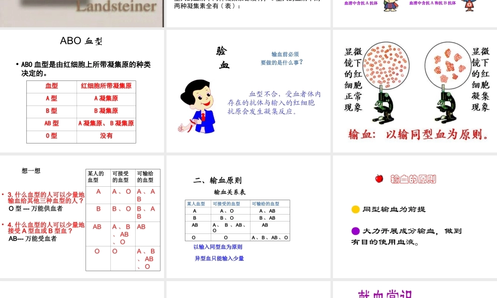 2014年七年级生物下册 第四章 第四节 输血与血型课件 新人教版