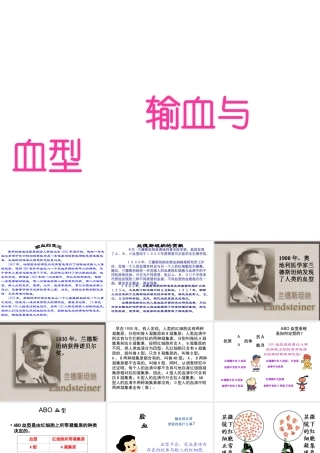 2014年七年级生物下册 第四章 第四节 输血与血型课件 新人教版