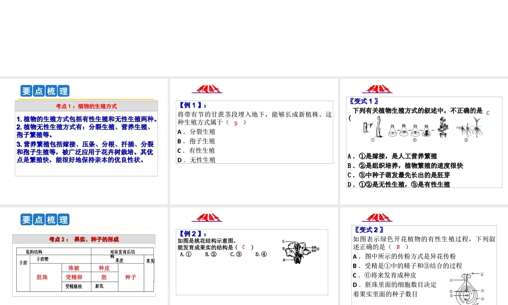 2014年科学中考第一轮复习 第三部分 生命科学 第50课 植物的生殖和发育课件