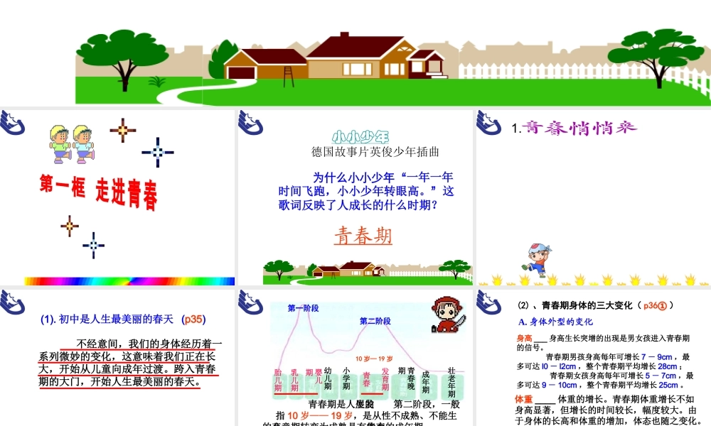 2014年秋七年级政治上册 第二单元 第四课 第一框 走进青春课件 新人教版