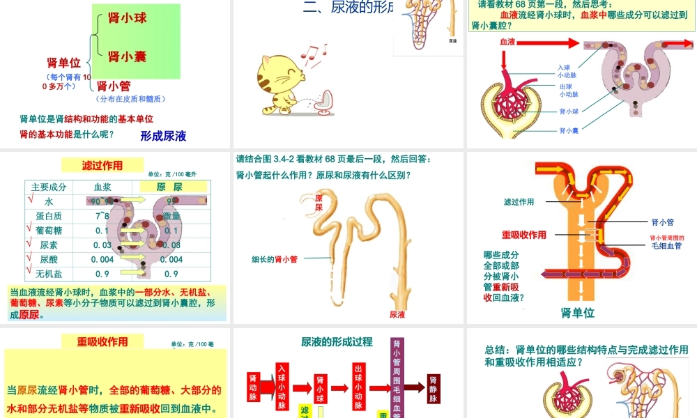 2014年七年级生物下册 第四章 第一节 尿液的形成和排出课件 济南版