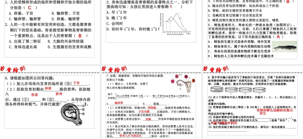 2014年科学中考第一轮复习 第三部分 生命科学 第51课 人类和动物的生殖和发育课件