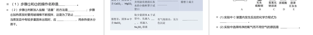 2014年中考化学 实验探究题复习课件