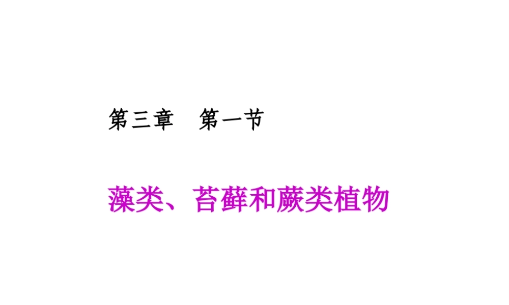 2014七年级生物上册 第三单元 第一章 第一节 藻类、苔藓和蕨类植物课件 新人教版