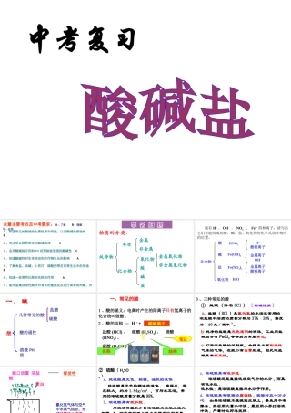 2014年中考化学 酸碱盐复习课件