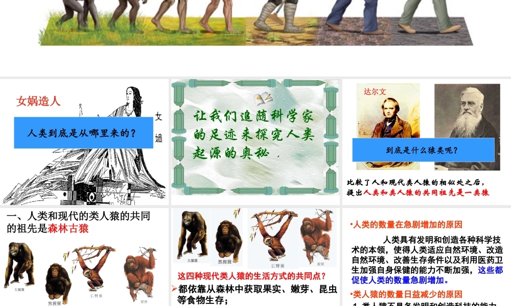 2014七年级生物下册 1.1 人类的起源和发展课件1 新人教版