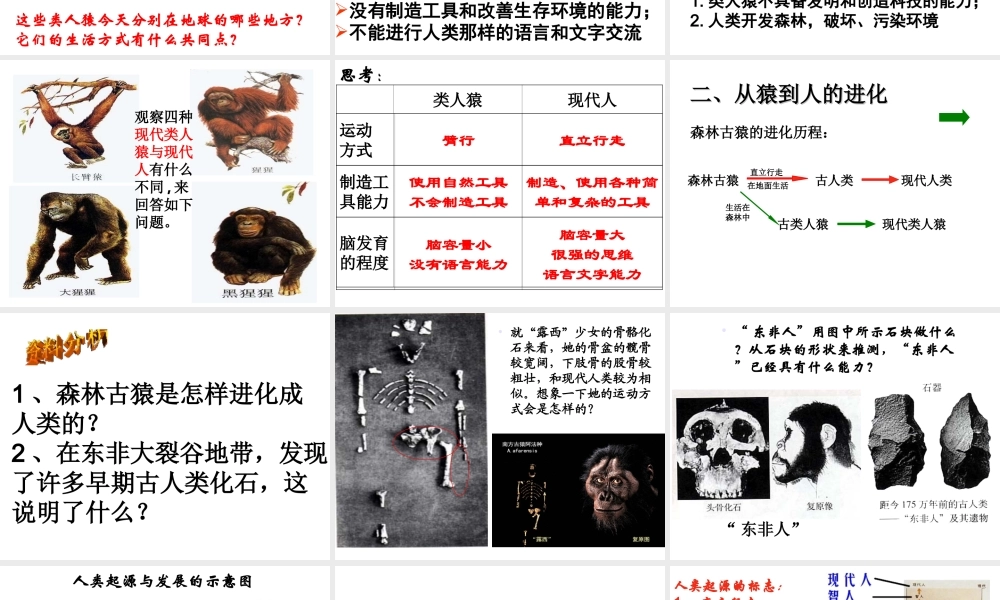 2014七年级生物下册 1.1 人类的起源和发展课件1 新人教版