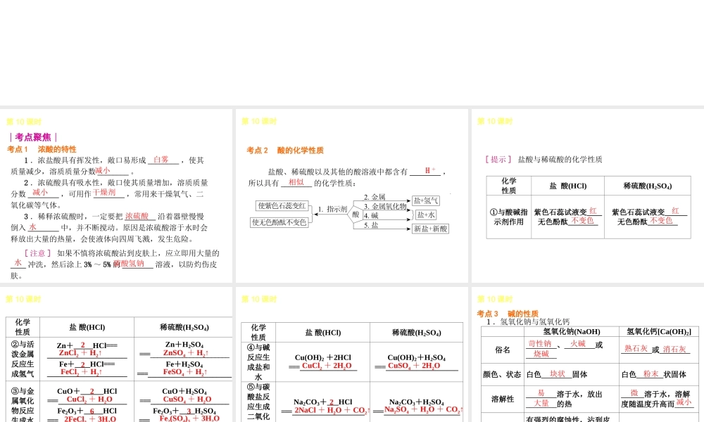 2014年中考化学一轮复习 第10课时 酸和碱的性质（查漏补缺+专题专练）课件 鲁教版