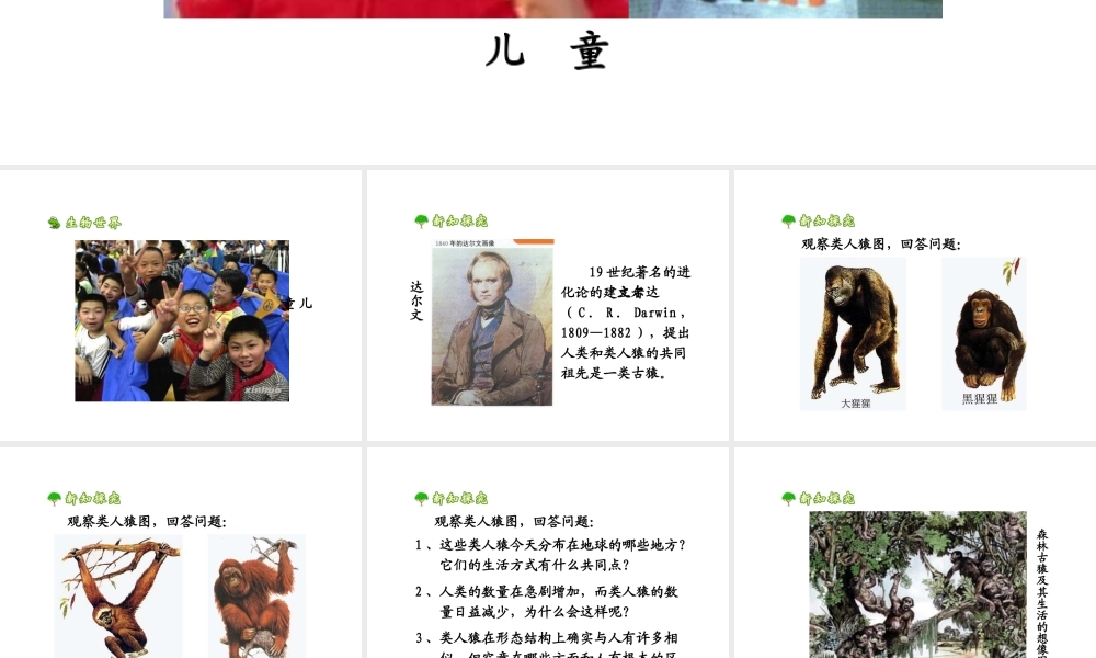 2014七年级生物下册 1.1 人类的起源和发展课件2 新人教版