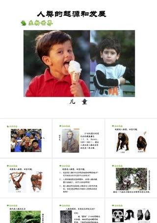 2014七年级生物下册 1.1 人类的起源和发展课件2 新人教版