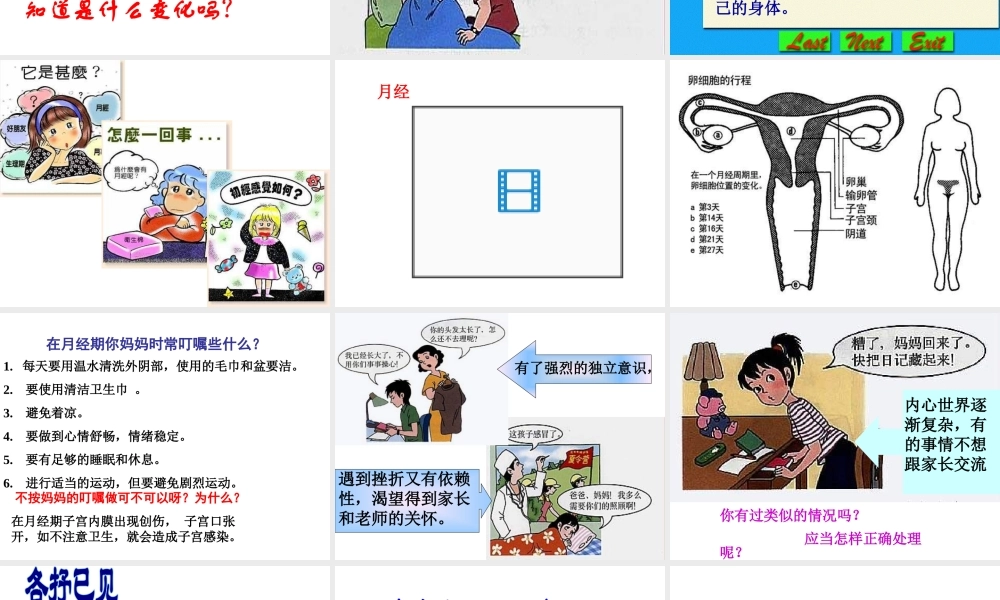 2014七年级生物下册 1.3  青春期课件1 新人教版