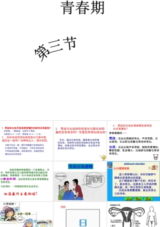 2014七年级生物下册 1.3  青春期课件1 新人教版