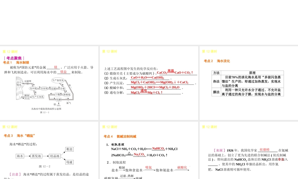 2014年中考化学一轮复习 第12课时 海洋中的化学资源（查漏补缺+专题专练）课件 鲁教版