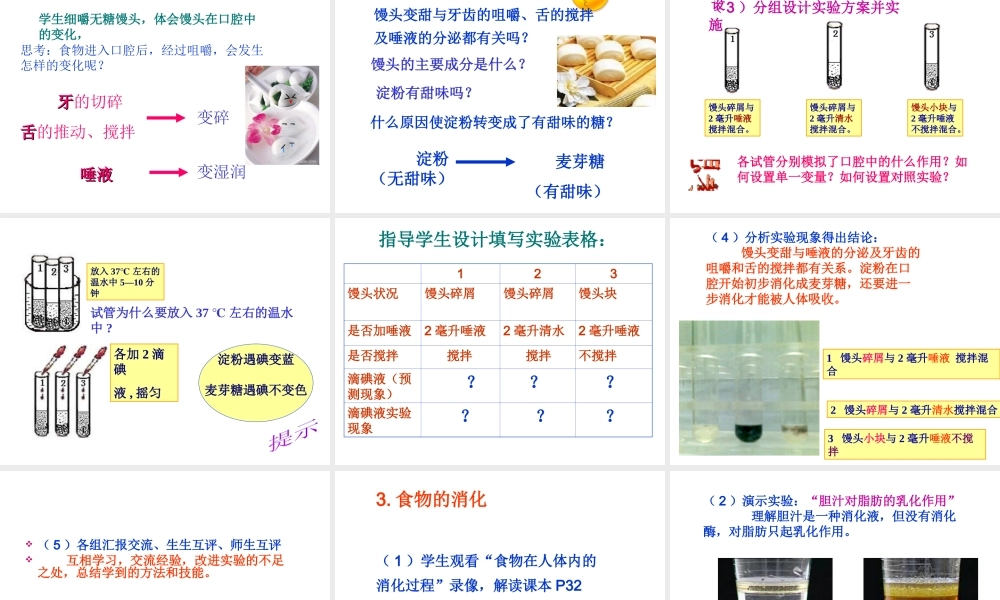 2014七年级生物下册 2.2 消化和吸收说课课件课件 新人教版