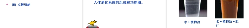2014七年级生物下册 2.2 消化和吸收说课课件课件 新人教版