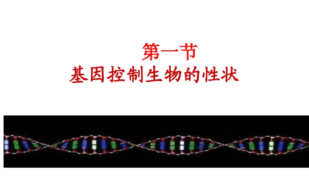2014人教版八年级生物下册第七单元第二章《生物的遗传和变异》第一节《基因控制生物的性状》课件