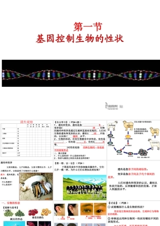 2014人教版八年级生物下册第七单元第二章《生物的遗传和变异》第一节《基因控制生物的性状》课件