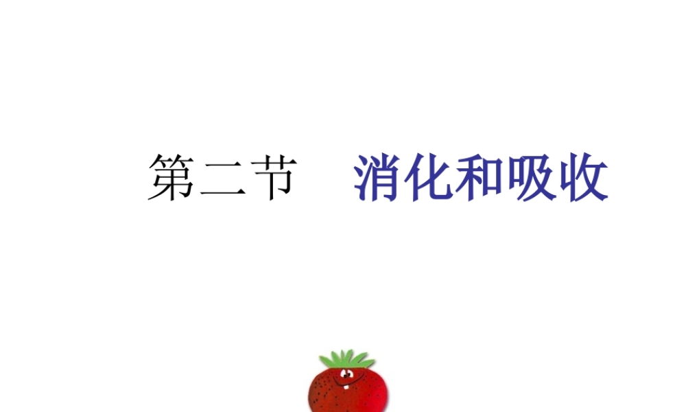 2014七年级生物下册 2.2 消化与吸收课件1 新人教版
