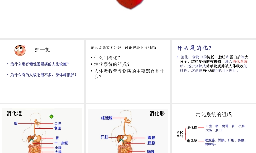 2014七年级生物下册 2.2 消化与吸收课件1 新人教版