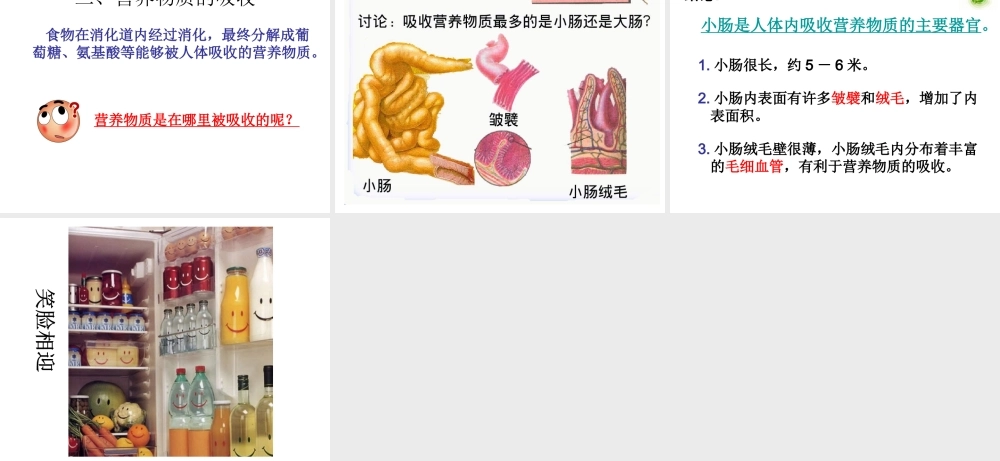 2014七年级生物下册 2.2 消化与吸收课件1 新人教版