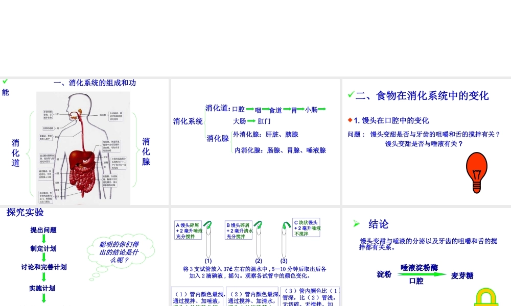 2014七年级生物下册 2.2 消化与吸收课件2 新人教版