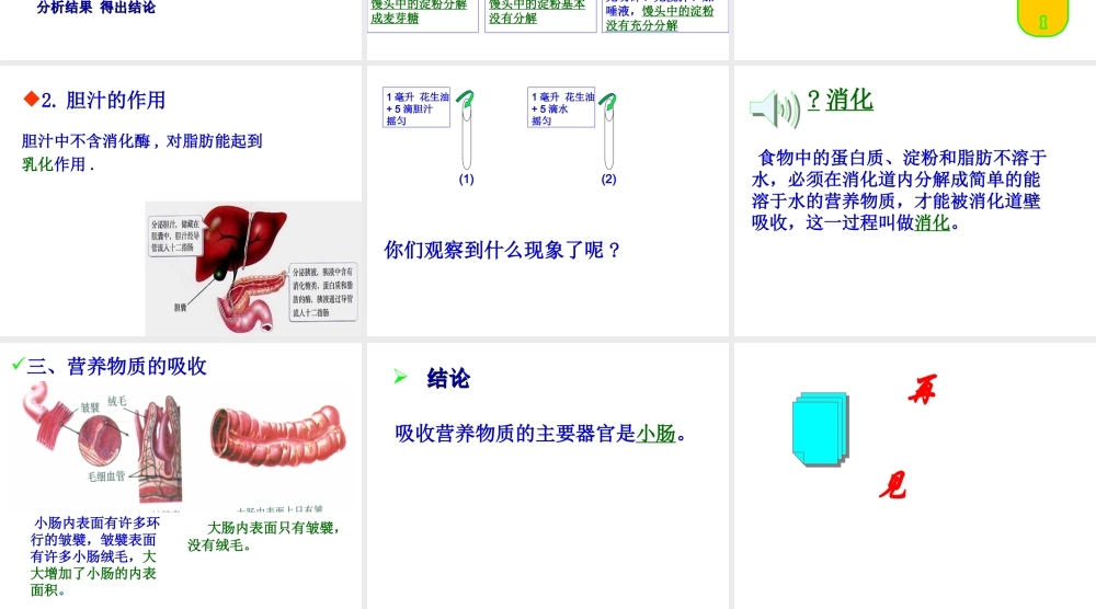 2014七年级生物下册 2.2 消化与吸收课件2 新人教版