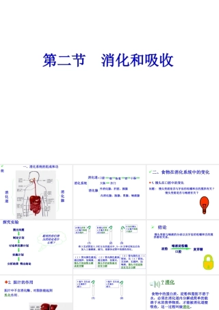 2014七年级生物下册 2.2 消化与吸收课件2 新人教版