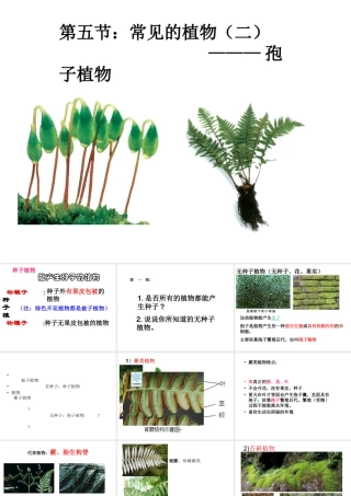 2014学年七年级科学上册 2.5 常见的植物蕨类苔藓藻类（第二课时）课件 浙教版