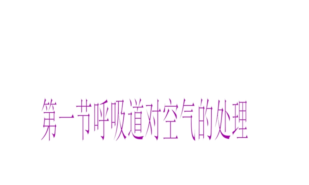 2014七年级生物下册 3.1 呼吸道对空气的处理课件 新人教版