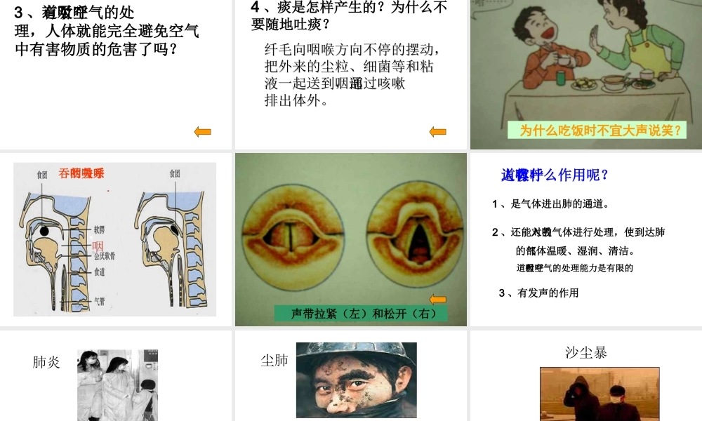 2014七年级生物下册 3.1 呼吸道对空气的处理课件 新人教版